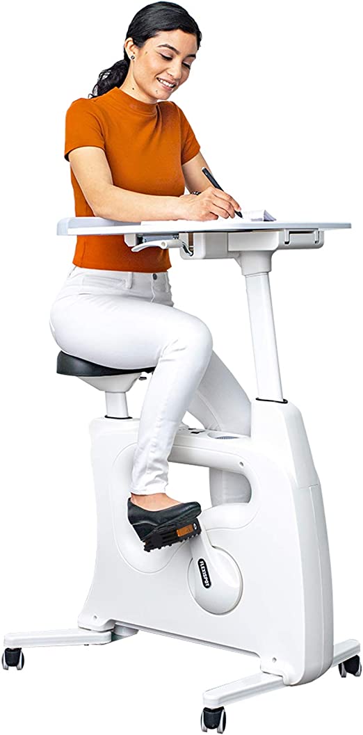 Adjustable Work Station Bike
