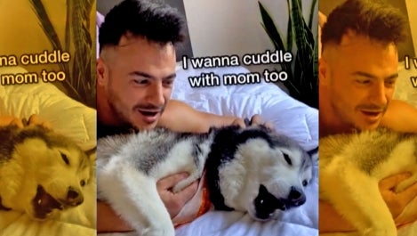Husky and owner