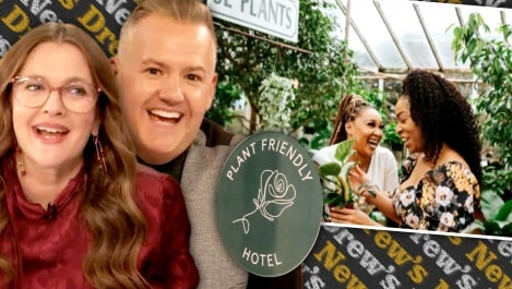 First Plant-Friendly Hotel Just Opened Doors in Kentucky | Drew's News