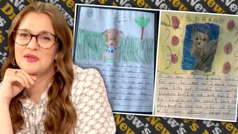 2nd-Grade Class Uses Persuasive "Adopt Me" Letters to Find Pets Forever Homes | Drew's News