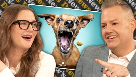 Drew's New Favorite IG Account Posts Photos of Dogs About to Chow Down on Treats | Drew's News