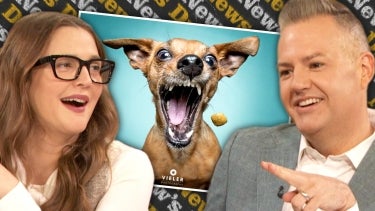 Drew's New Favorite IG Account Posts Photos of Dogs About to Chow Down on Treats | Drew's News