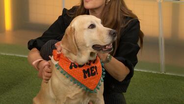 Drew Barrymore Spotlights Adoptable Dogs from Humane Society in New Jersey | Drew Barrymore Show