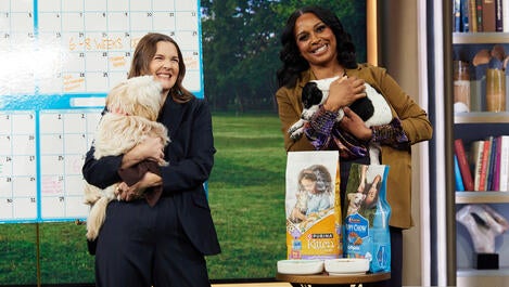 Purina Puppy and Kitten Chow