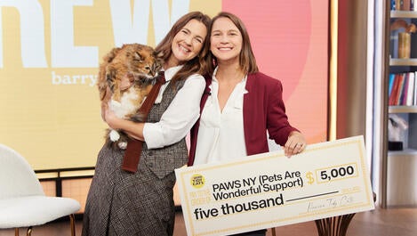Tidy Cats
