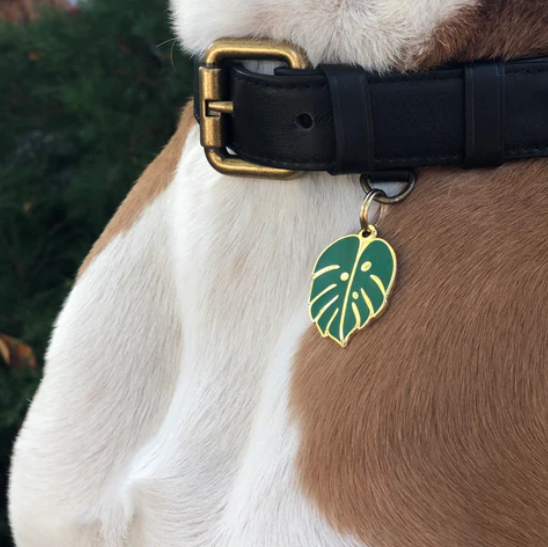ID Tag