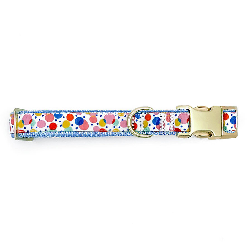 Packed Party Dog Collar