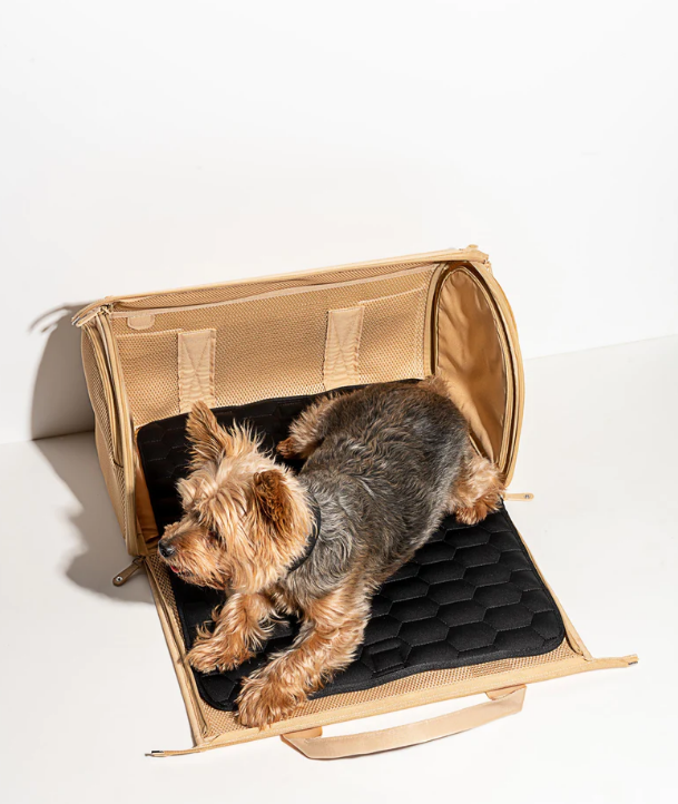 Travel Carrier 